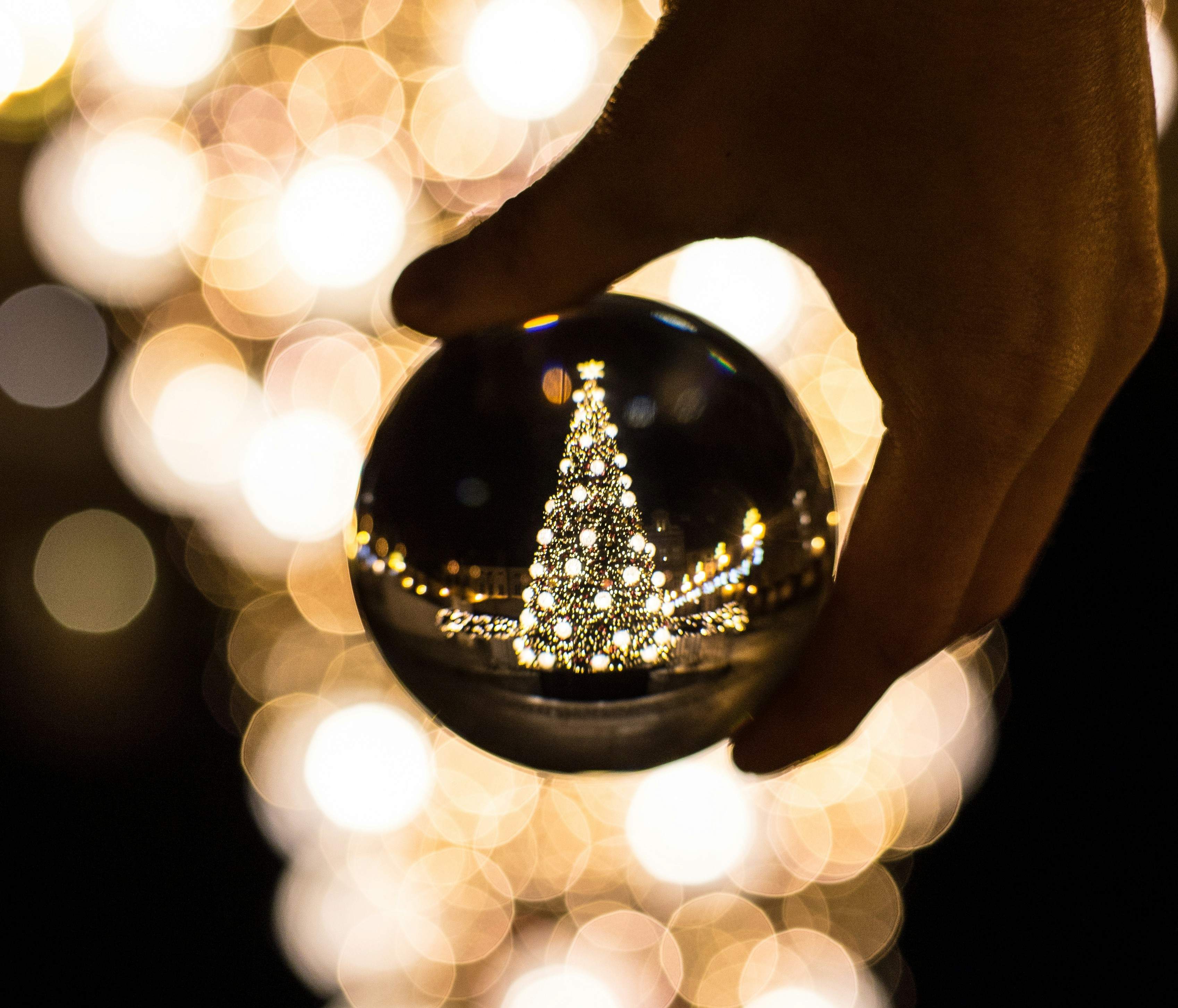 Christmas, love, and pregnancy help