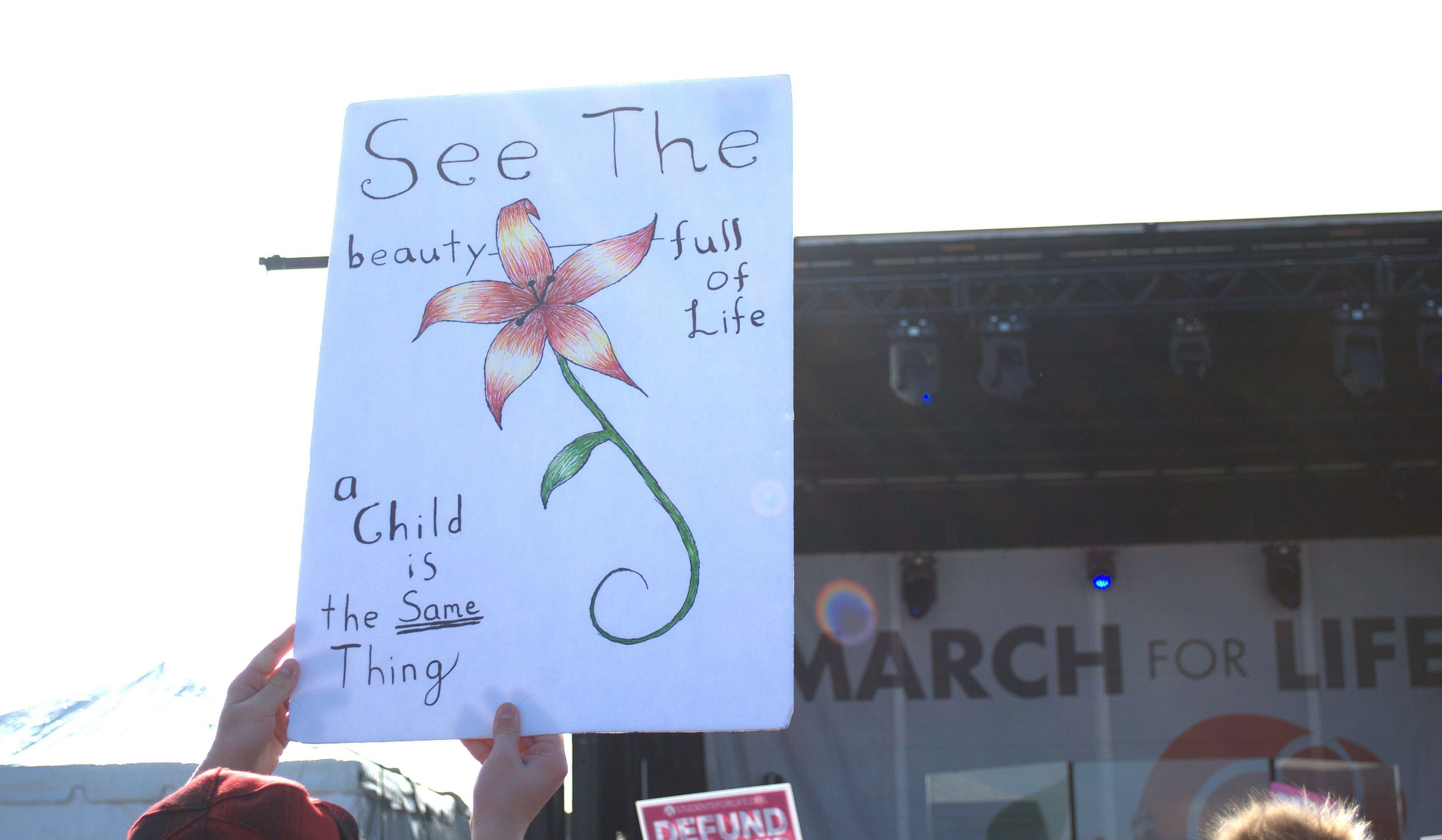 Despite Dobbs decision, abortions have only increased in the United States