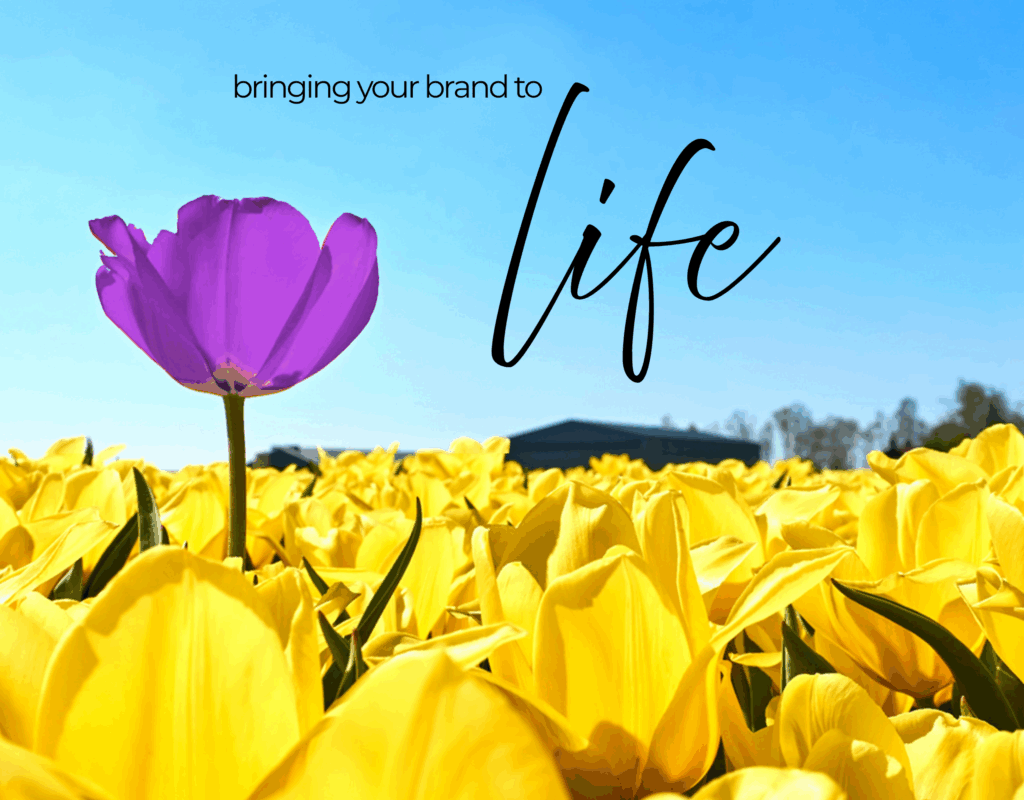 New Jersey center purchases marketing company to foster creative fundraising for other centers