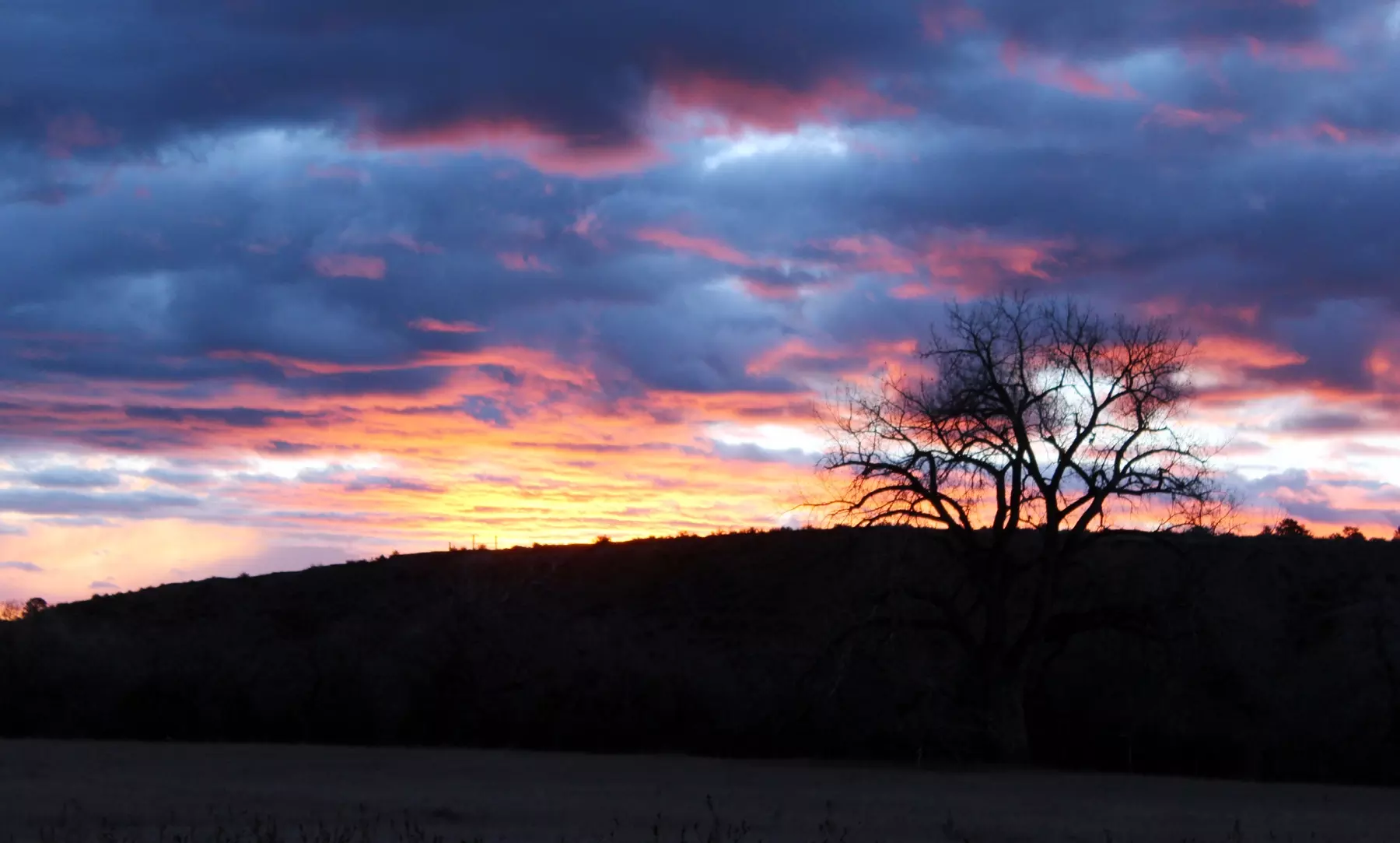 Gratitude and a fighting spirit