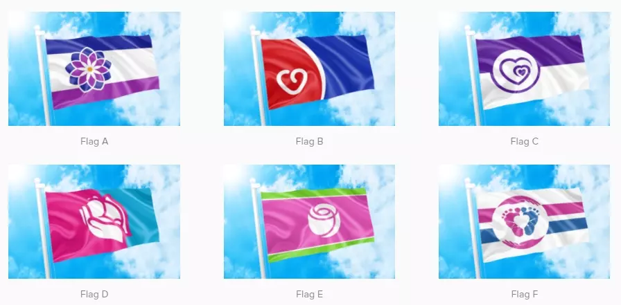 Voting for a universal pro-life flag is underway, closes July 19