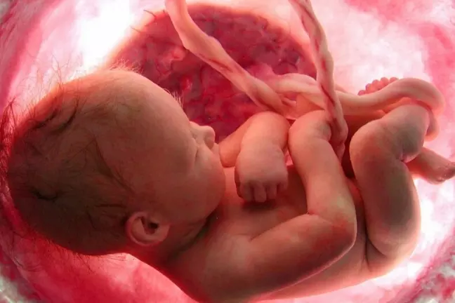 Unborn children may feel pain before 24-week abortion time limit, study finds