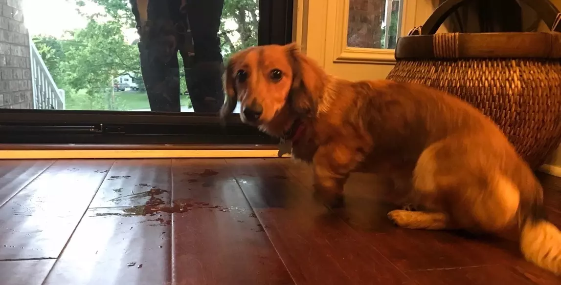 The Next to Walk in is an Opportunity