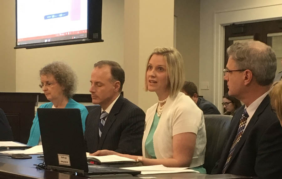 Laura Dickinson introducing a resolution honoring pregnancy centers at Kentucky's Health and Family Services Committee.