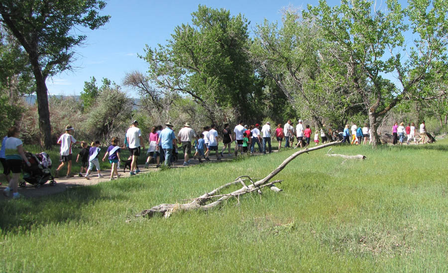 True Care's Walk for Life follows historic pioneer pathway