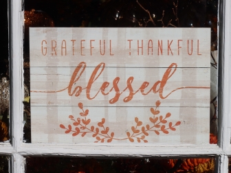 Ten reasons you can be thankful you’re in pro-life ministry