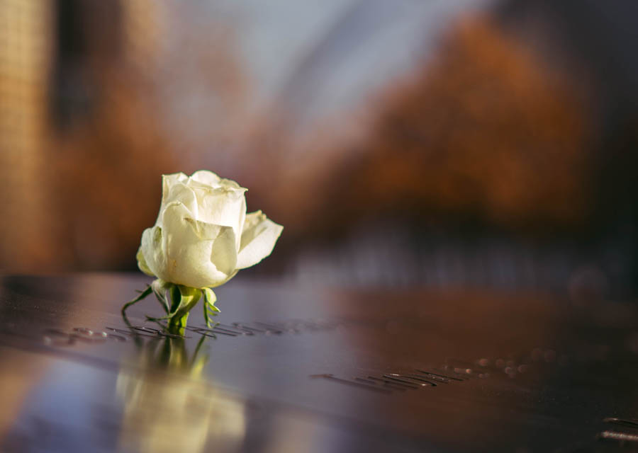 Remembering the unborn victims of September 11