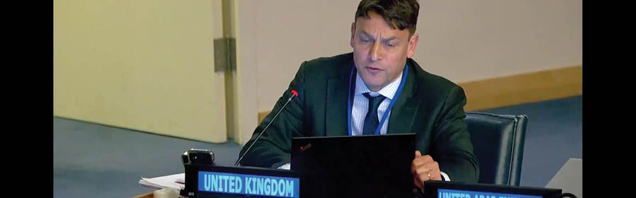 Attempts underway to redefine “forced pregnancy” in international law