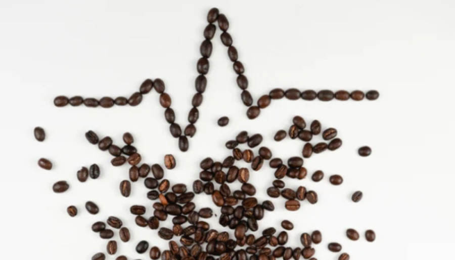 Fledgling pro-life coffee company raises tens of thousands for pregnancy centers in 2022